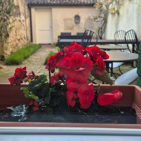 Bed and Breakfast 19 Borgo Cavour Тревизо Экстерьер фото