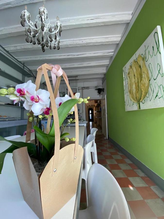 Bed and Breakfast 19 Borgo Cavour Тревизо Экстерьер фото