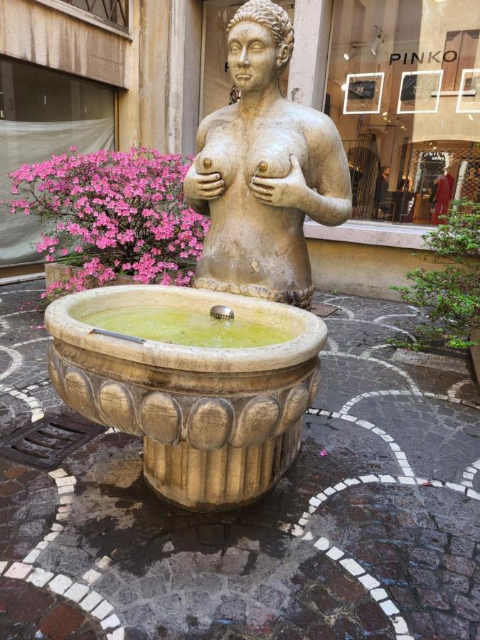 Bed and Breakfast 19 Borgo Cavour Тревизо Экстерьер фото