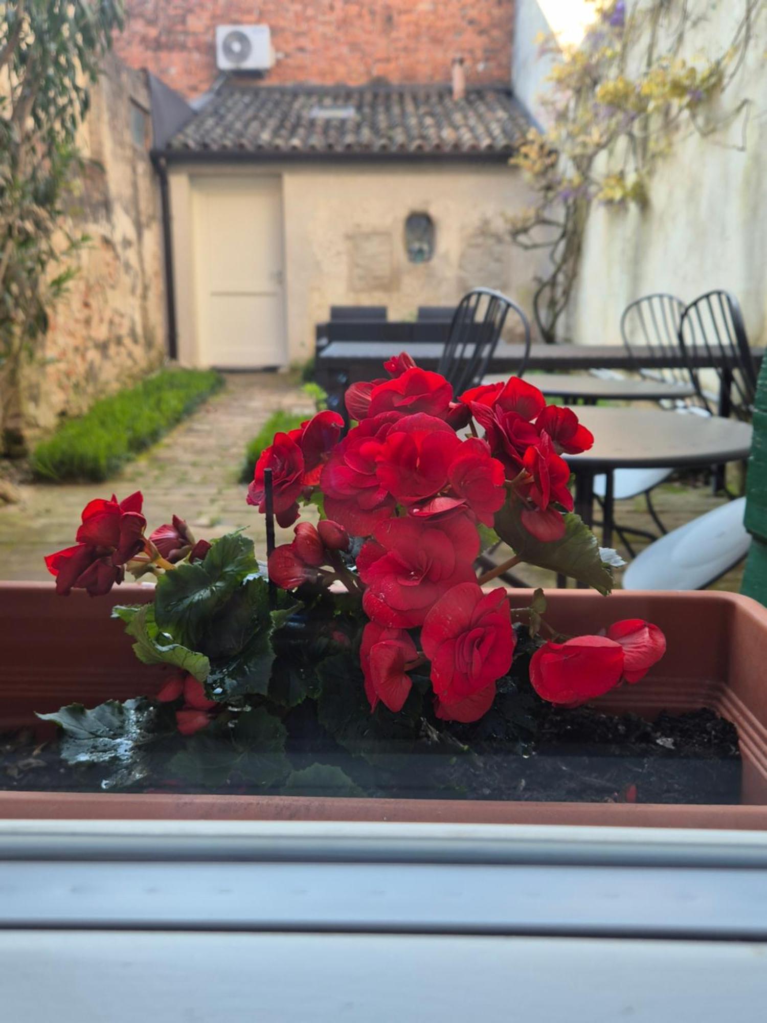 Bed and Breakfast 19 Borgo Cavour Тревизо Экстерьер фото