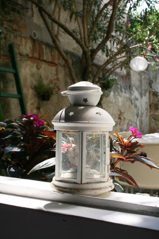Bed and Breakfast 19 Borgo Cavour Тревизо Экстерьер фото